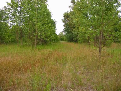 Jolly Roger Drive-In Theatre - The Lot Now - Photo From Water Winter Wonderland (newer photo)